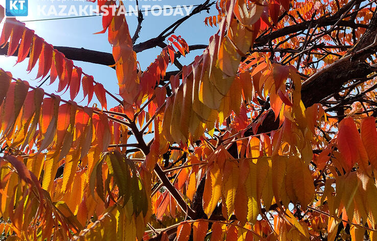 Казахстанские синоптики обещают потепление в выходные дни