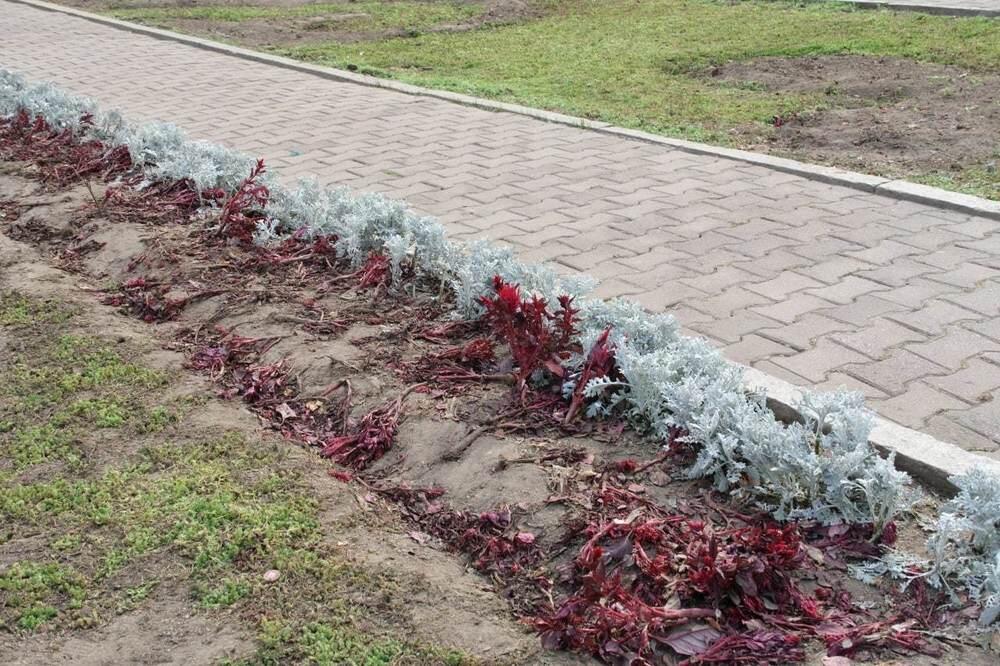 Зрители концерта "Gakku Дауысы" в Алматы уничтожили почти 94 тысячи цветов. Фото: t.me/almaty_akimat