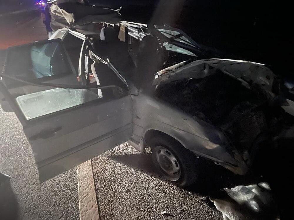 К трем годам тюрьмы и многомиллионному штрафу приговорены браконьеры в Павлодарской области. Фото: polisia.kz