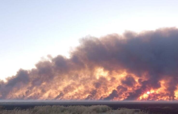 В Атырауской области тушат крупный природный пожар