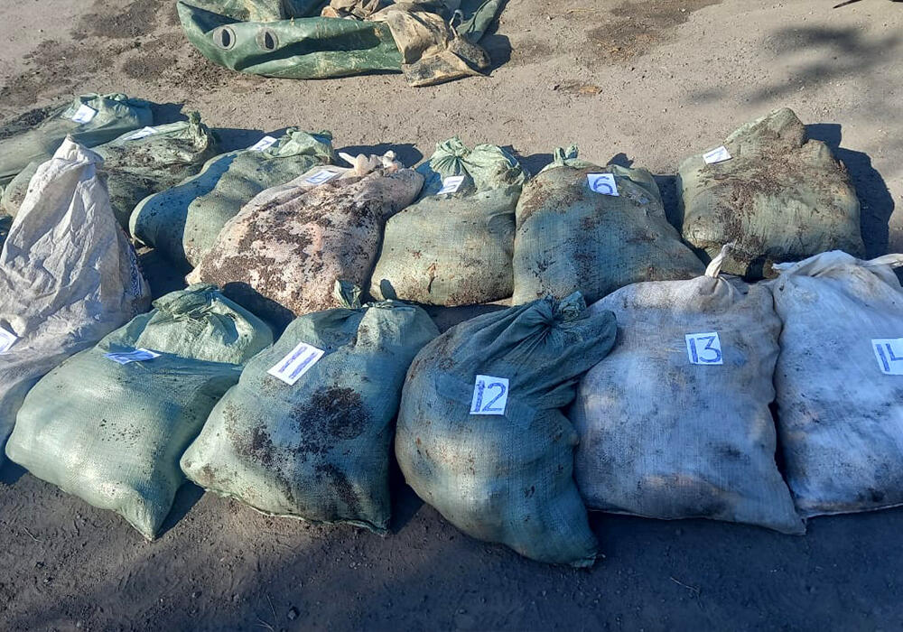 Более тонны рыбы изъяли у браконьеров в Павлодарской области. Фото: Polisia.kz