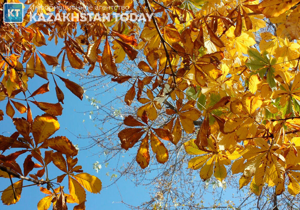 Синоптики рассказали о погоде в Казахстане в пятницу