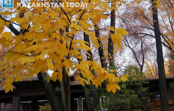 Похолодание и осадки ожидаются в Казахстане в выходные дни