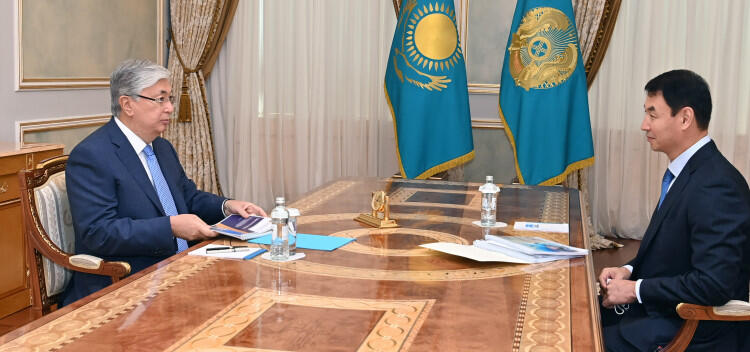 О развитии Туркестанской области рассказал президенту Дархан Сатыбалды