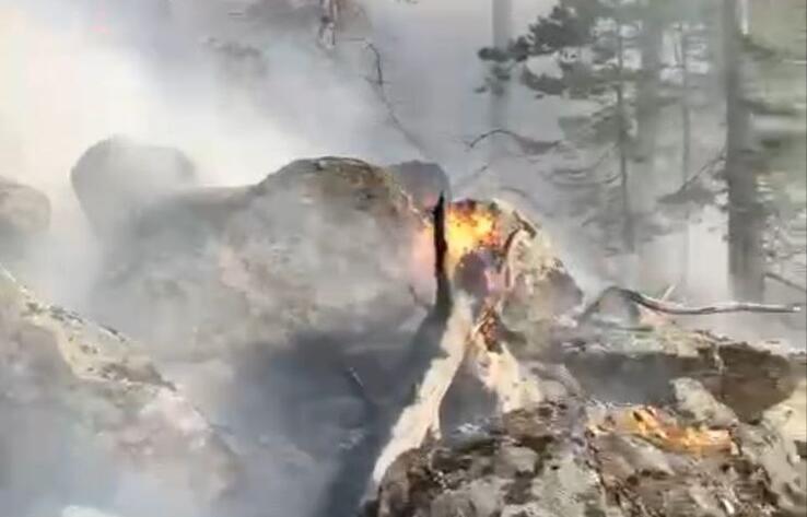 Площадь пожара в нацпарке "Бурабай" составила 300 квадратных метров