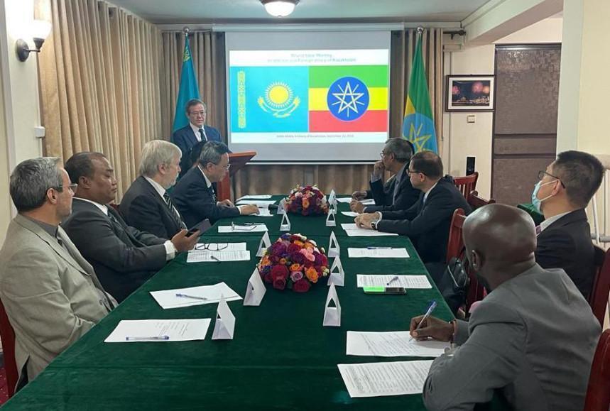 Foreign policy and reforms in Kazakhstan discussed in capital of African Union