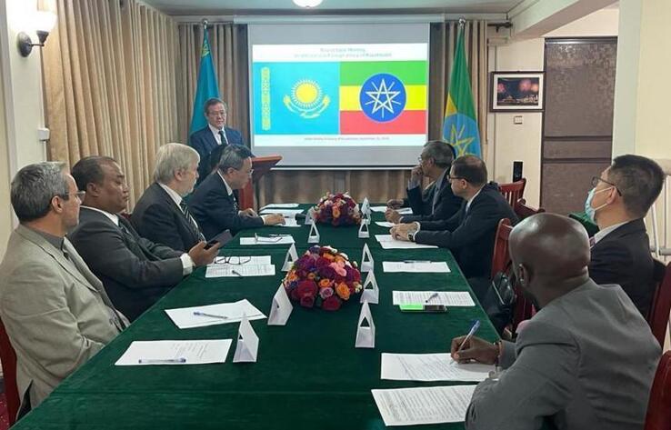 Foreign policy and reforms in Kazakhstan discussed in capital of African Union