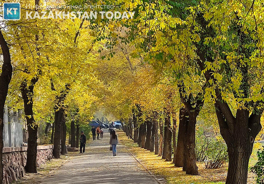 Какая погода ожидается в Казахстане в среду