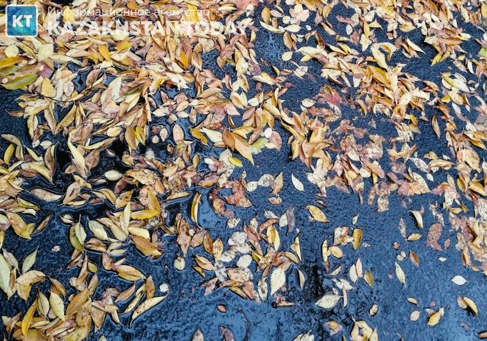 Штормовое предупреждение объявили в восьми областях