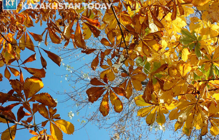 Синоптики предоставили прогноз погоды в Казахстане на октябрь 