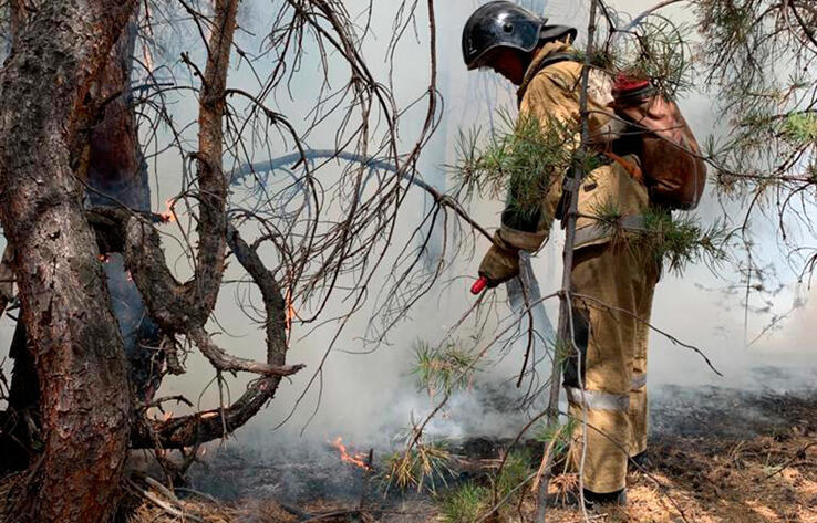 Ущерб от лесных пожаров в ВКО превысил 288 млн тенге