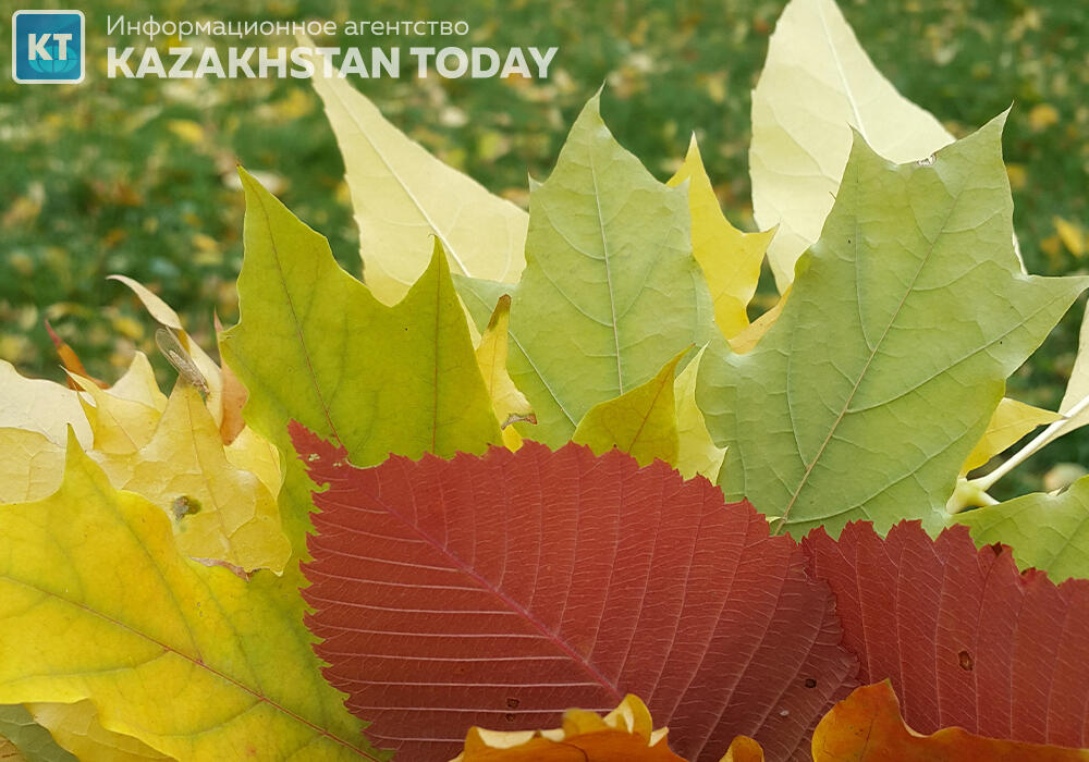 В большинстве регионов Казахстана во вторник ожидается погода без осадков