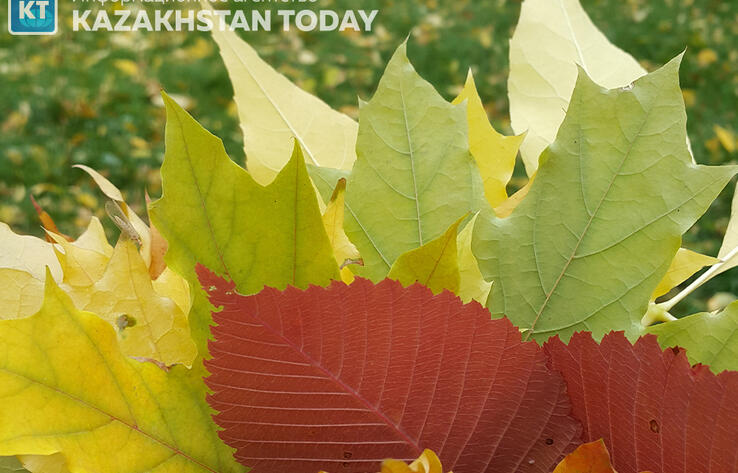 В большинстве регионов Казахстана во вторник ожидается погода без осадков