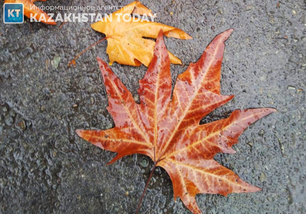 Штормовое предупреждение объявили в восьми областях 