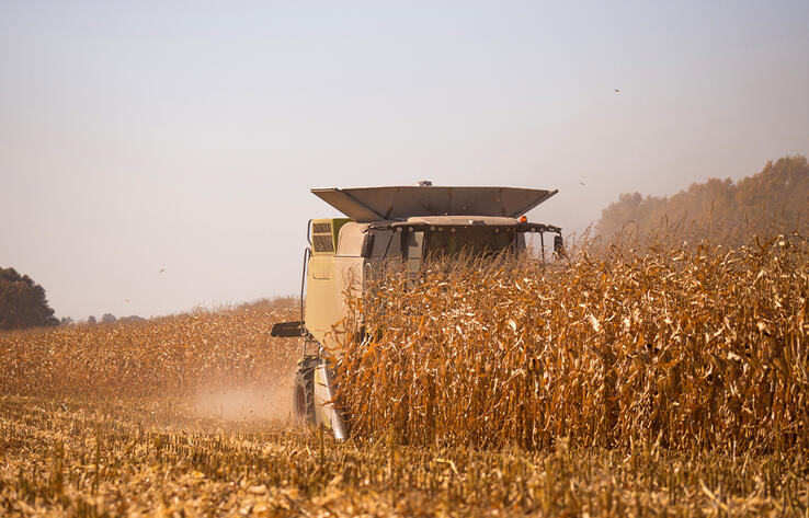 В Казахстане намолочено 21,6 млн тонн зерна в бункерном весе