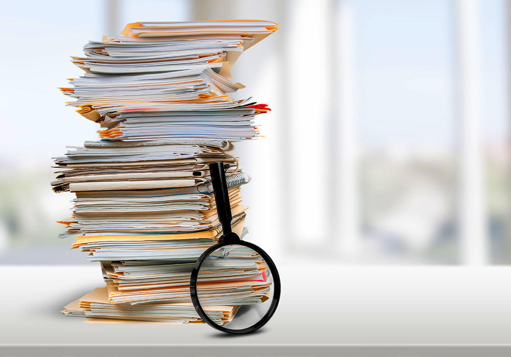 Қазақстанның оңтүстік өңірлерінен қоныс аударушылар жаңа жерде жұмысқа орналасу мәселесін бастан кешуде - Дүйсенова