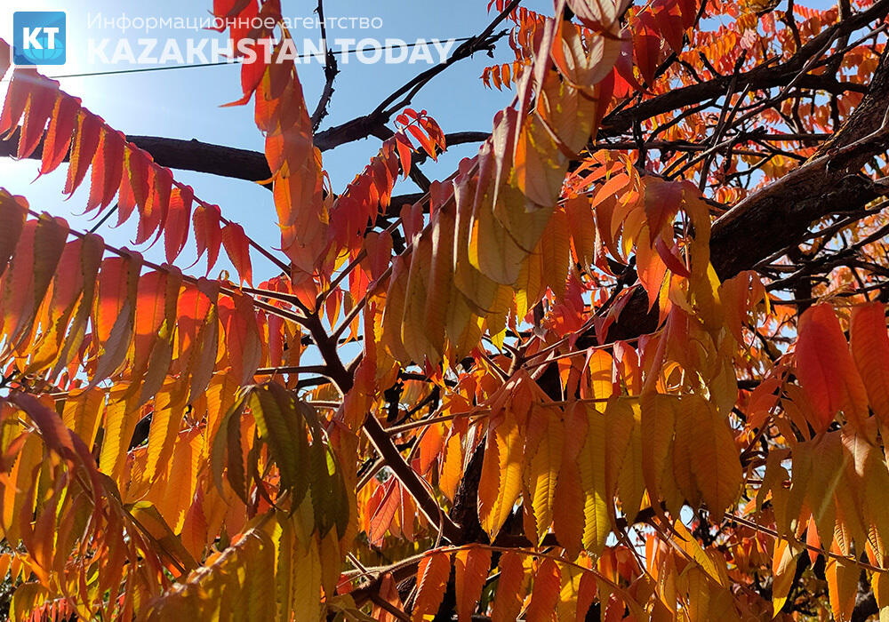 В большинстве регионов Казахстана ожидается погода без осадков