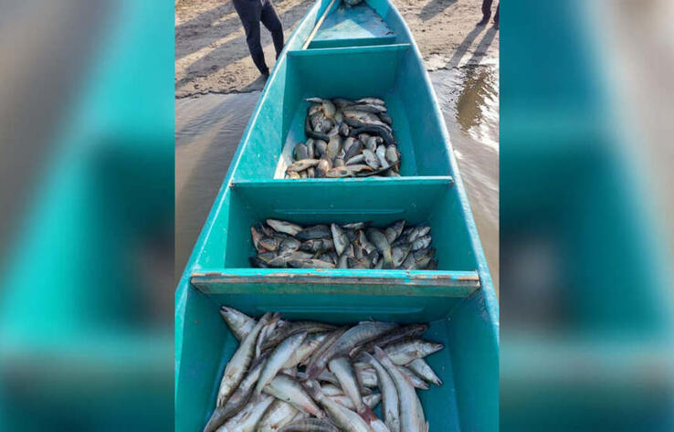 Около двух тонн рыбы изъяли у браконьеров в Атырауской области