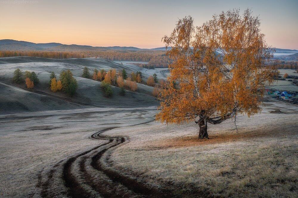 Краски осени. Фото: 35photo.pro Copyright by Василий Яковлев