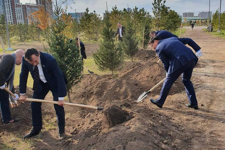 Ambassadors of Kazakhstan and Netherlands plant 'Trees of Friendship' in Astana. Images | gov.kz