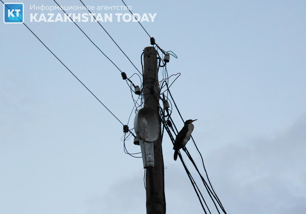 Уровень износа электросетей в некоторых городах Казахстана достигает 80% 
