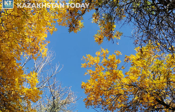 Какая погода ожидается в Казахстане в субботу