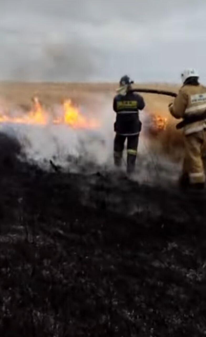 В Павлодарской области потушили крупный степной пожар 