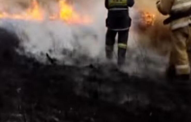 В Павлодарской области потушили крупный степной пожар 