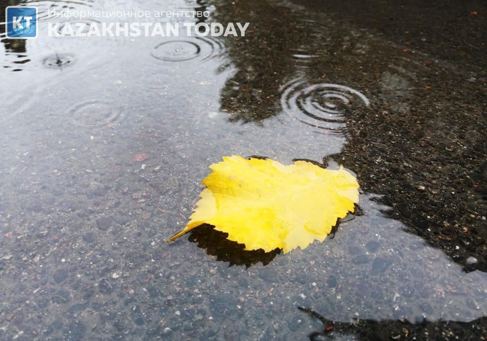 Штормовое предупреждение объявили в восьми областях 