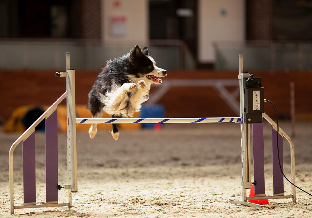 Movement in Sport. Images | 35photo.pro Copyright by Юлия Стукалова