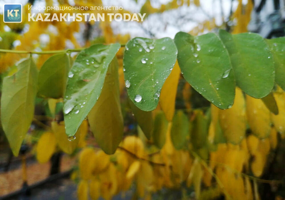 Синоптики рассказали, какая погода ожидается в Казахстане в четверг
