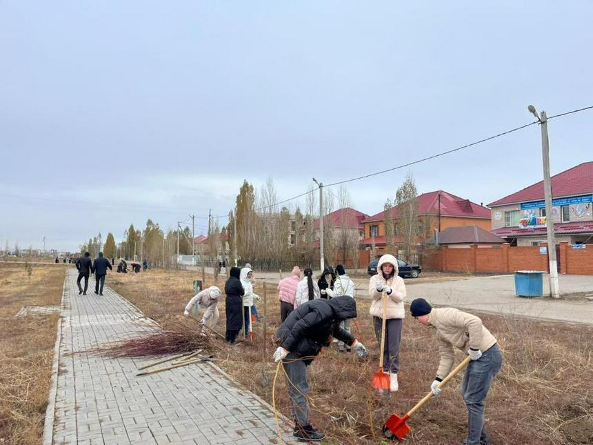 Environmental activists gather 30,000 tons of waste. Images | gov.kz
