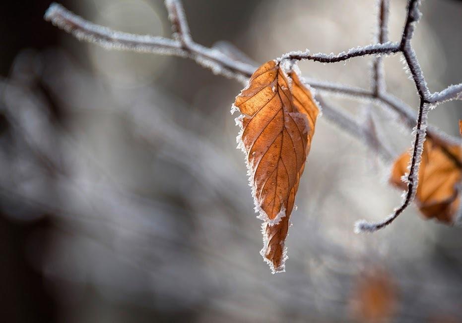 Штормовое предупреждение объявили в двенадцати областях 