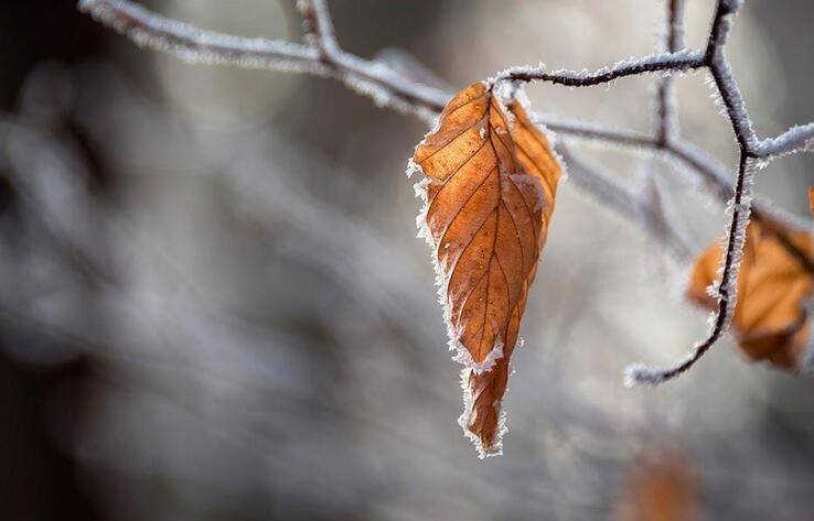 Штормовое предупреждение объявили в одиннадцати областях