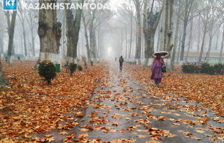 Осадки и туман прогнозируют синоптики в большинстве регионов Казахстана в ближайшие три дня