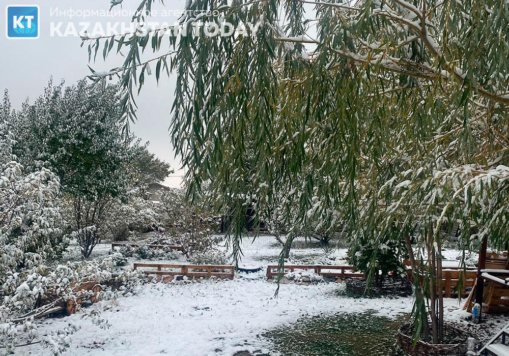 Штормовое предупреждение объявили в десяти областях 