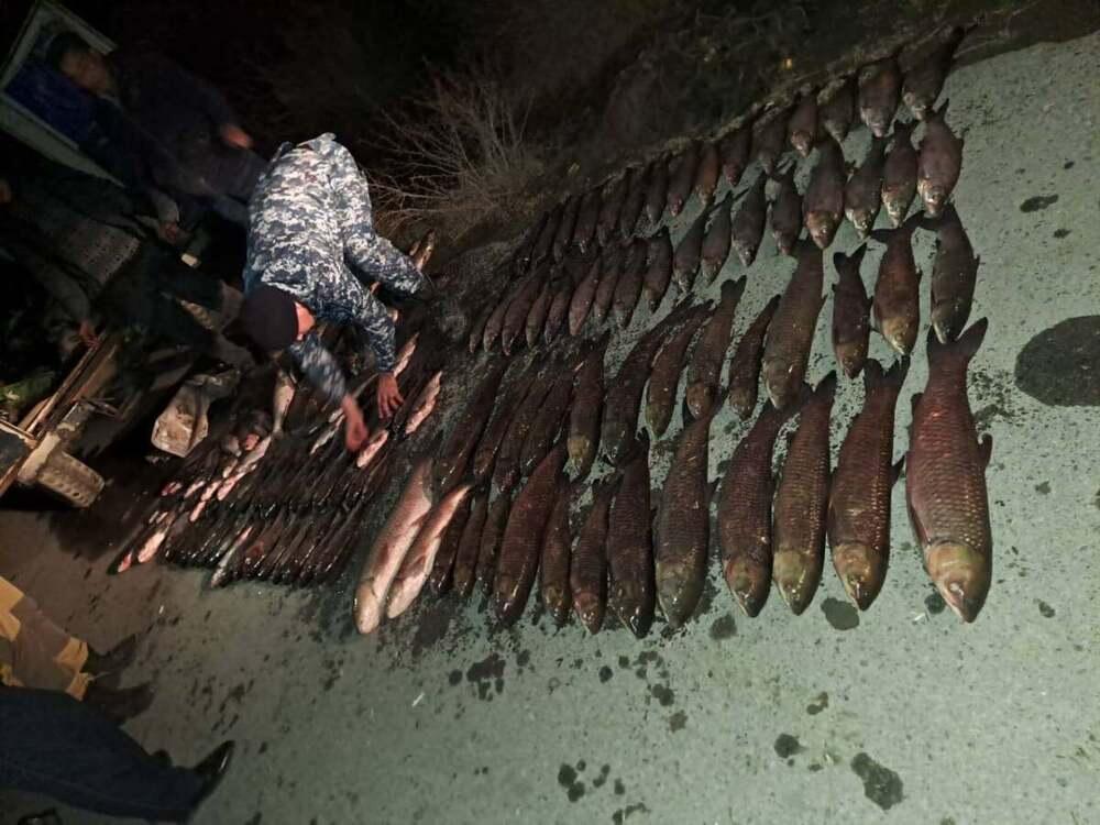 У троих жителей Кызылординской области изъяли более 250 кг рыбы
