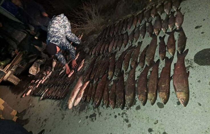 У троих жителей Кызылординской области изъяли более 250 кг рыбы