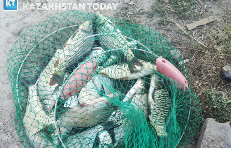 В Казахстане могут в 2,5 раза увеличить штрафы за лов рыбы запрещенными снастями