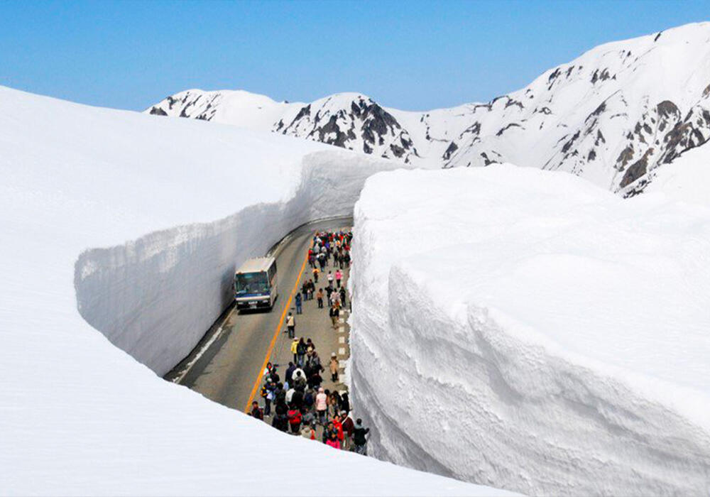 Снежные стены в Тойям, Япония. Фото: twitter/Niyama_ru