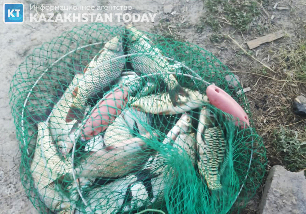 Қазақстанда тыйым салынған құралдармен балық аулағаны үшін айыппұлды 2,5 есе ұлғайтуы мүмкін