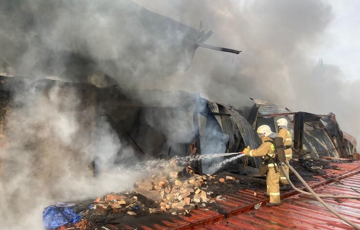 С начала года в пожарах погибли 249 человек - Ильин