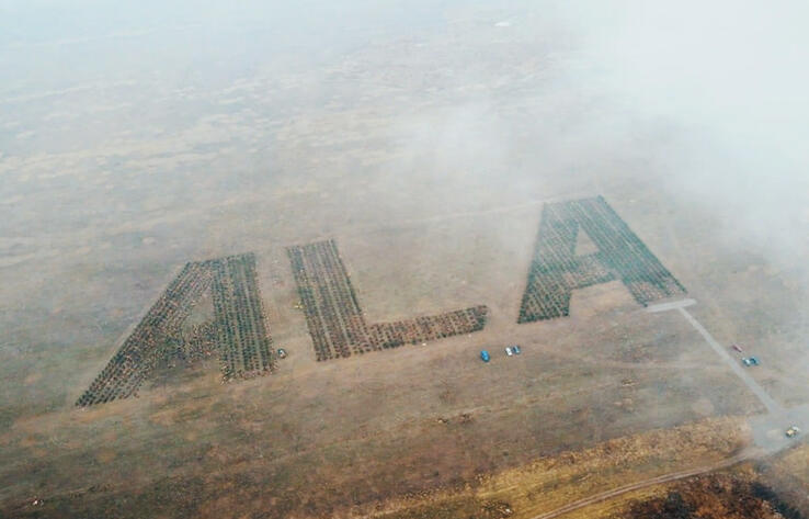 Garden In Shape of ALA Code Appeared In Almaty