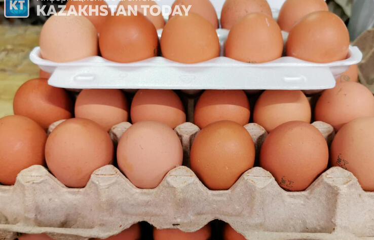 В Казахстане цены на яйца выросли на 6% за месяц