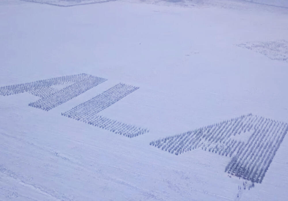 В Алматы высадили деревья в форме авиационного кода города ALA . Фото: telegram/Новости акимата Алматы