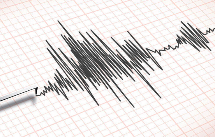 Несколько землетрясений произошло недалеко от Алматы