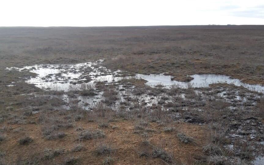 В Атырауской области произошел разлив нефти 