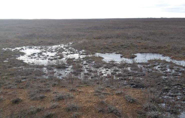 В Атырауской области произошел разлив нефти 