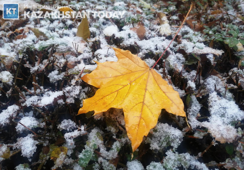 Синоптики рассказали о погоде в Казахстане в субботу 