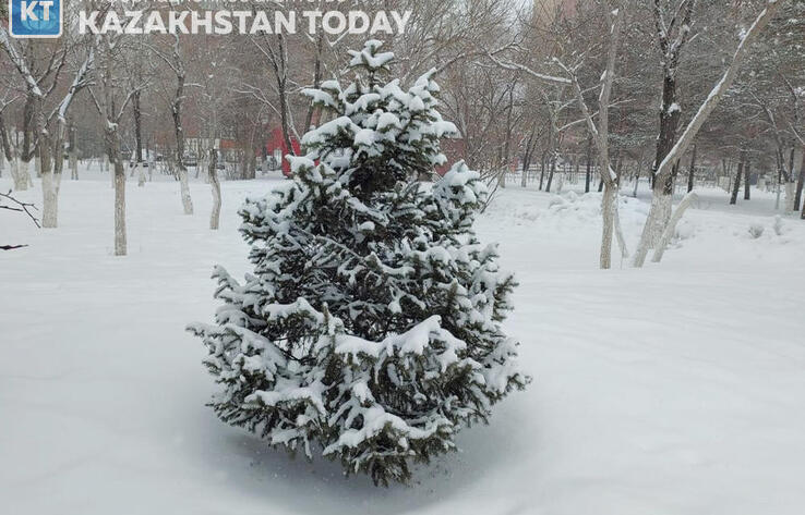 Жителей пяти регионов Казахстана сегодня ожидает непогода